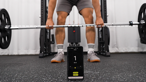 Motion & Posture - BARBALAN