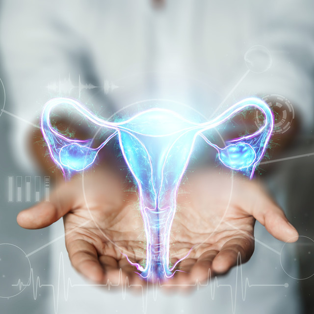 자궁, 난소 기능 강화