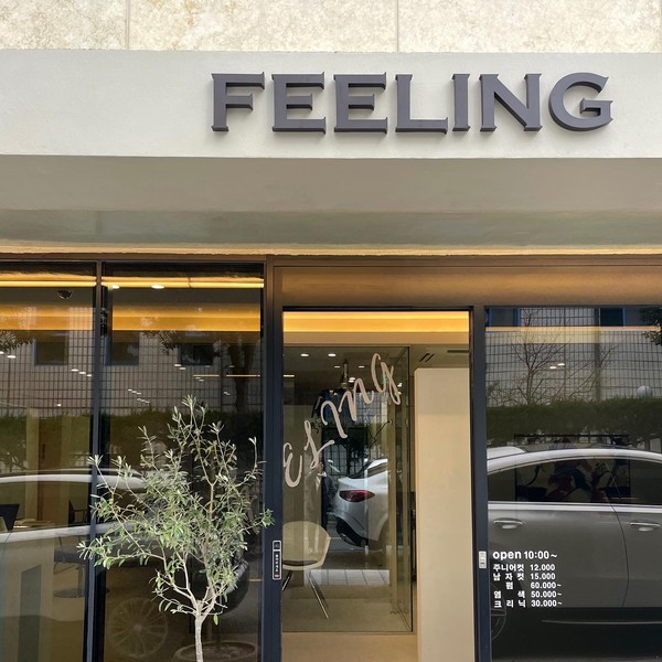 [제주] FEELING