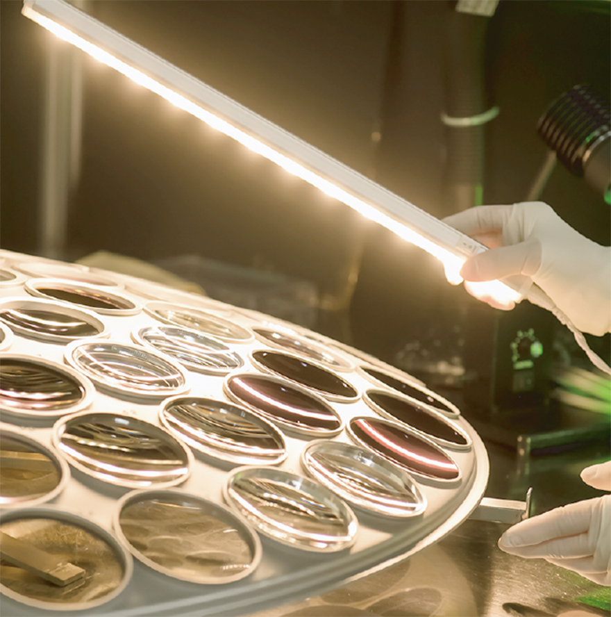 토카이렌즈 TOKAI LENS 소개