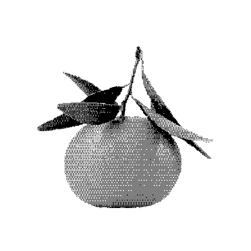 Tangerine Omegi