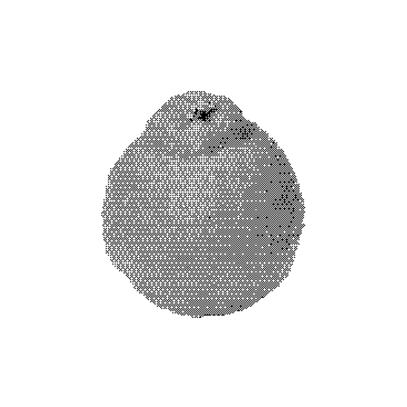 Hanrabong Cream Omegi