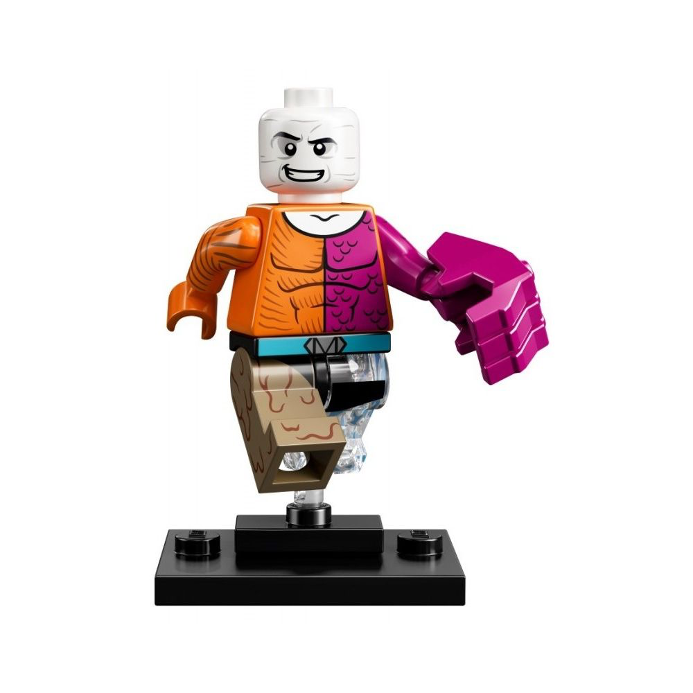 레고 미니피규어 Metamorpho, Dc Super Heroes (Complete Set With Stand And  Accessories) (Colsh-12) : 오!브릭 - 레고부품 쇼핑몰