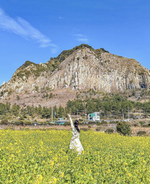 겨울엔 한라산! 봄엔 여기! 산방산방 쉬운 JEJU 등산지 : 전문 크리에이터 노하우