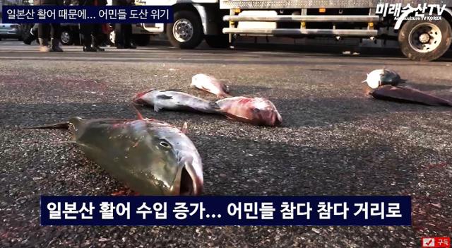 국내 1호 한우 동물복지 농장인 해남 ‘만희농장’ 우사