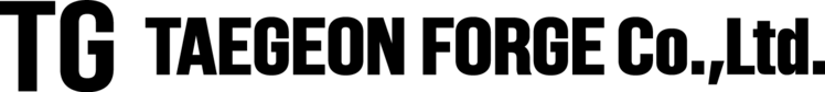TAEGEON FORGE