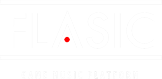 플래직 FLASIC