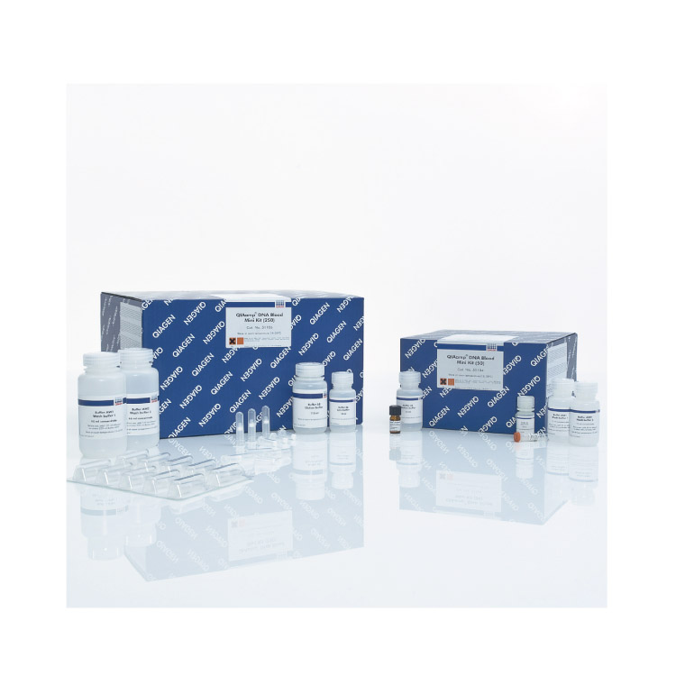 [QIAGEN] QIAamp DNA Blood Kit DAWINBIO