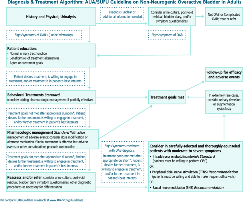 Why do patients prefer some OAB third-line therapies over others? : 제품관련뉴스