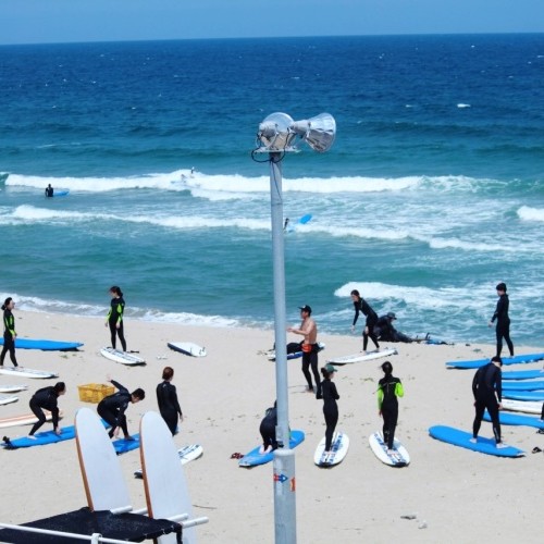 [강원 강릉] 서프홀릭강릉