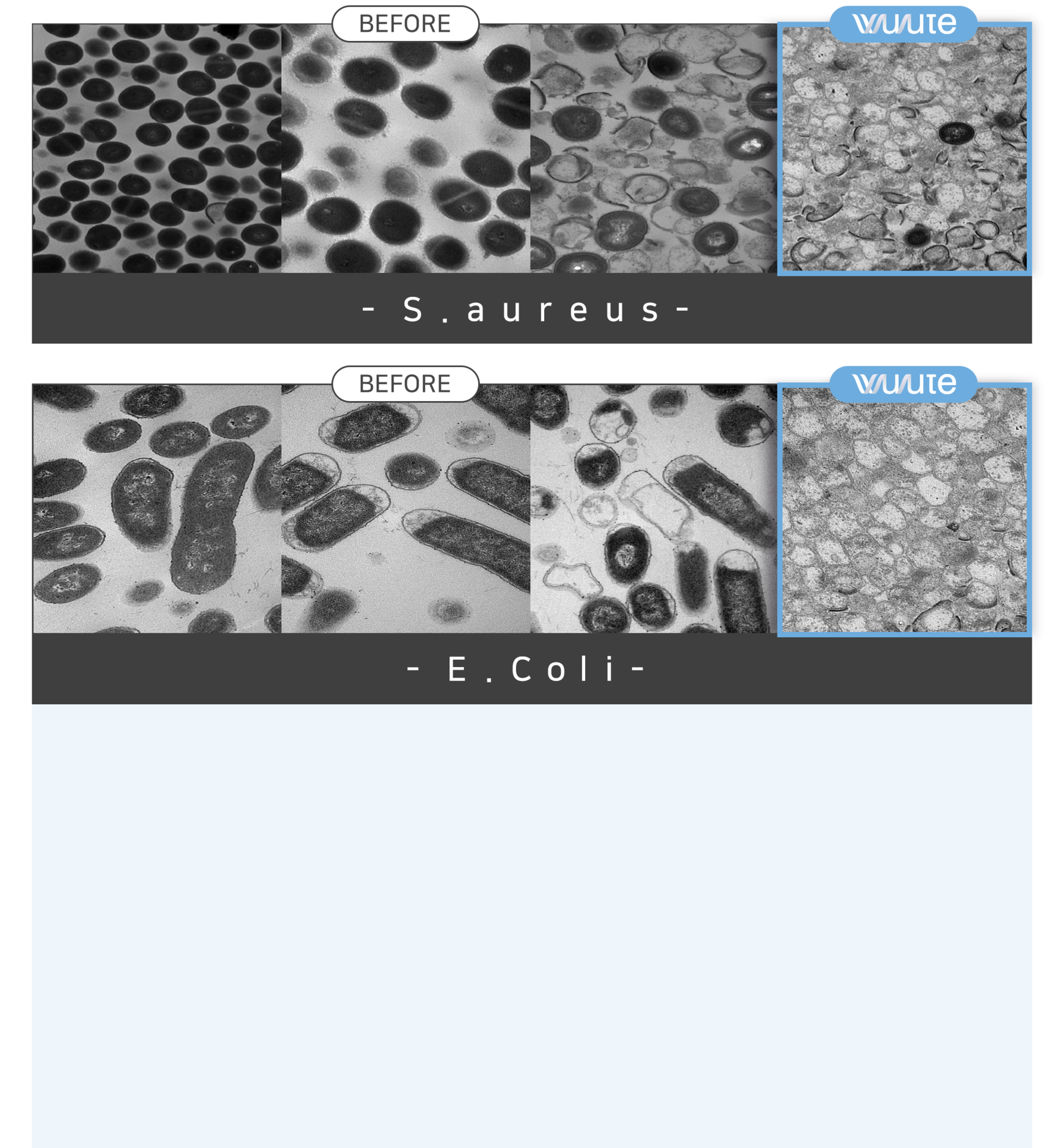 <p style="text-align: center;"><span style="font-size: 16px; color: rgb(128, 113, 180);">Unlike other methods, WULUTE effectively</span></p>  <p style="text-align: center;margin-top:-5px;"><span style="font-size: 16px; color: rgb(128, 113, 180);">sterilizes not only airborne viruses but </span></p>  <p style="text-align: center;margin-top:-5px;"><span style="font-size: 16px; color: rgb(128, 113, 180);">also pathogens, germs, viruses on surfaces </span></p>  <p style="text-align: center;margin-top:-5px;"><span style="font-size: 16px; color: rgb(128, 113, 180);">by large amount of plasma. </span></p>