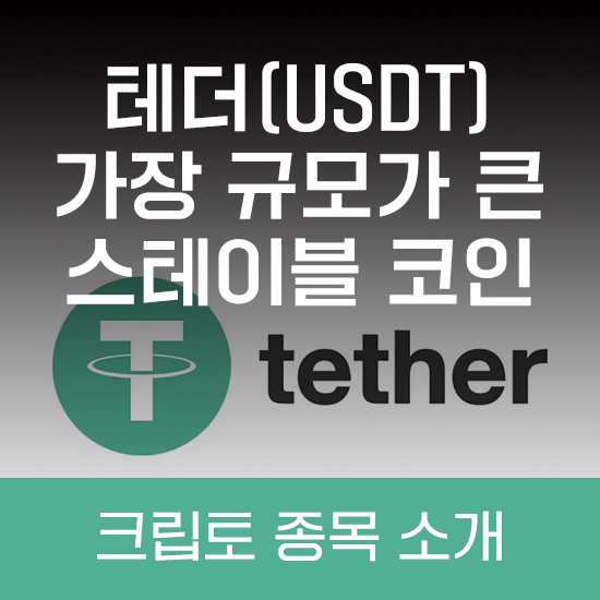 테더(usdt), 가장 규모가 큰 스테이블코인 : 에임리치