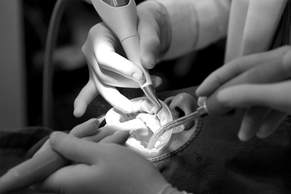 남천동-광안리치과-유엘치과-잇몸치료-진료중