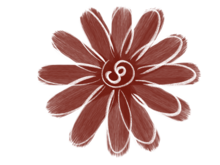 레드세다 (redseda)