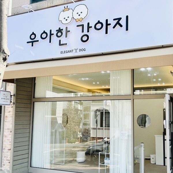 [광주] 우아한강아지 체험단