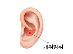 귀연골