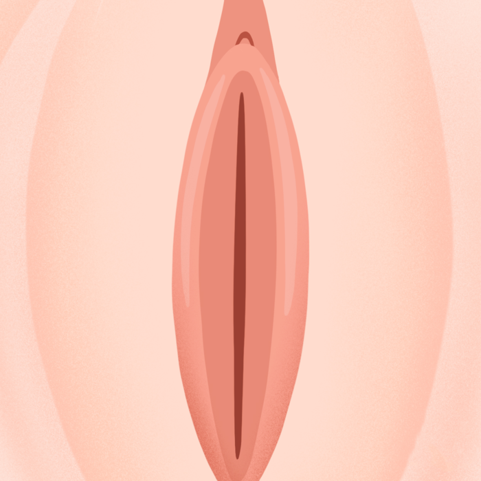 에그라인 디자인 그림