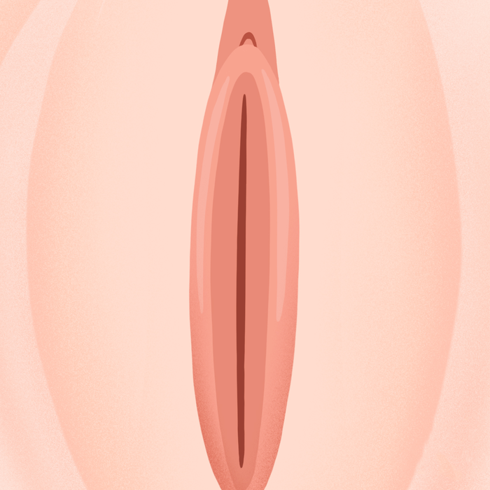 심플라인 디자인 그림