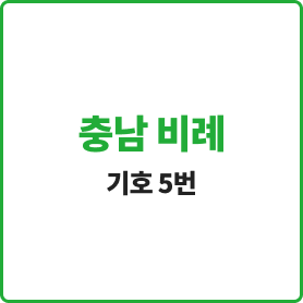 <p><strong><span style="font-size: 36px; font-weight: 900; color: rgb(34, 172, 56); letter-spacing: -1px;">충남 비례</span></strong></p>