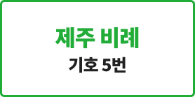 <p><strong><span style="font-size: 20px; font-weight: 900; letter-spacing: -1px;">제주 비례</span></strong></p>