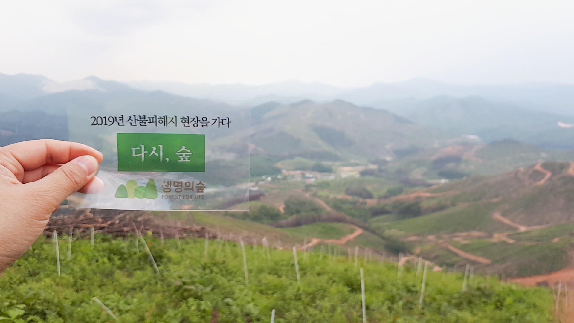 2019 강릉 산불피해지 현장 캠페인 (2020)