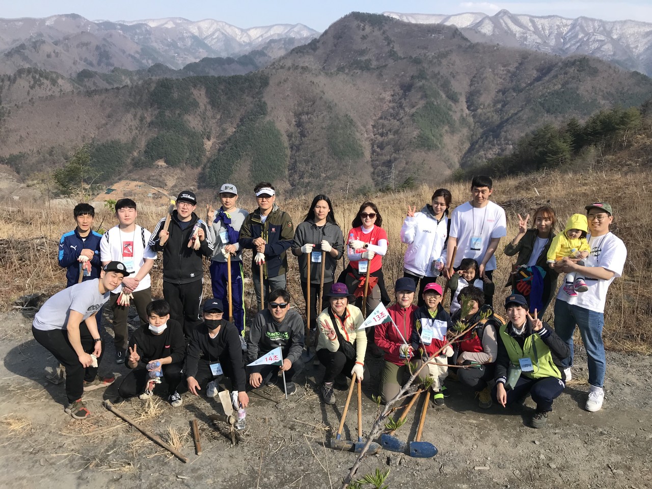 2015 삼척 산불피해지 나무심기 (2019)
