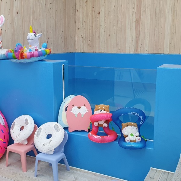 [서울 은평구] 코코네 풀레이스