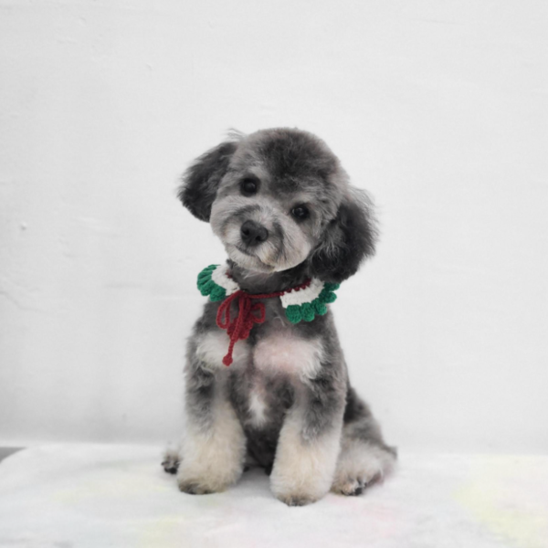 [인천 계양구] 디어뭉