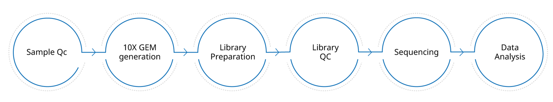 Sample QC, 10X GEM generation, Library preparation, Library QC, Sequencing, Data Analysis 