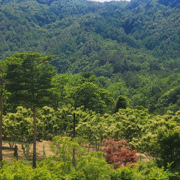 예약 상품 이미지