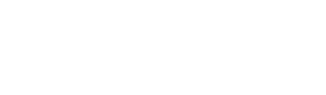Design Whale