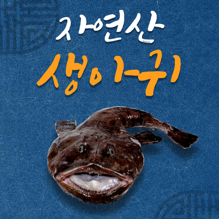 아구,아귀,생아귀,생물아귀,냉동아귀,해산물,생아구,아구도매,순살아귀,대구목살,아귀도매,수산물가격,대구뽈살,수산물업체,냉동수산물 ...