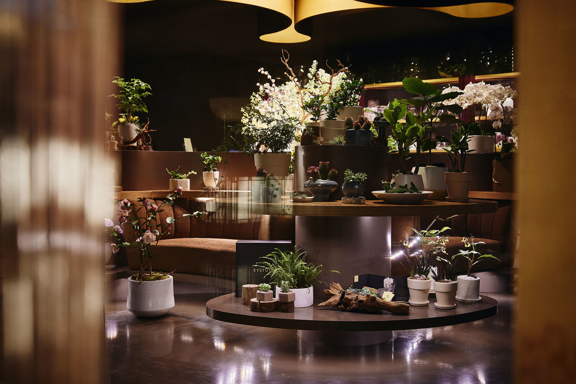 Z studio