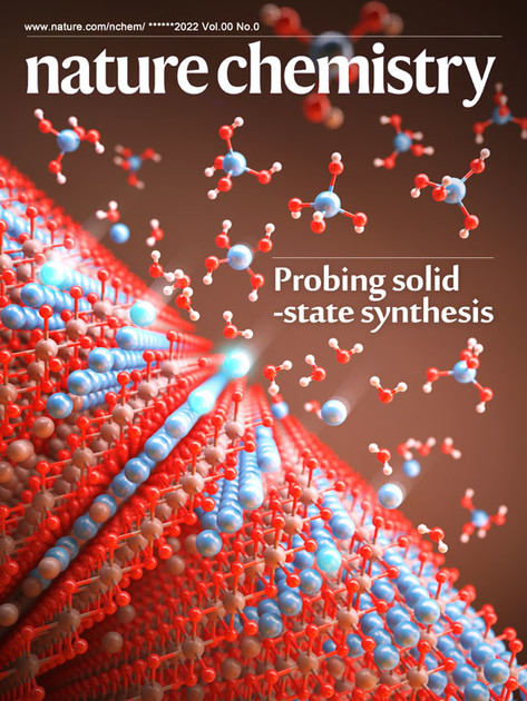 Nature Chemistry : Publishing News