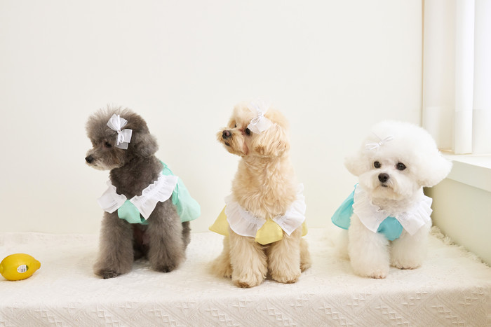 レビューで送料無料】 little flower cotton ops cardigan www 