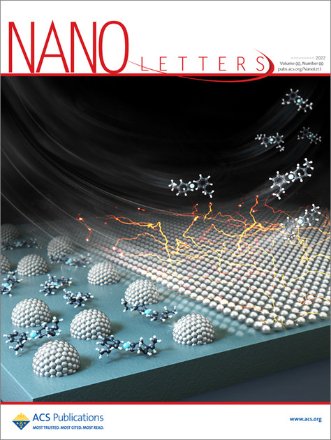 ACS_Nano Letters : nanosphere.co.kr