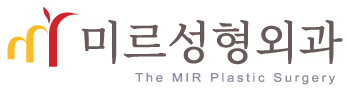 미르성형외과