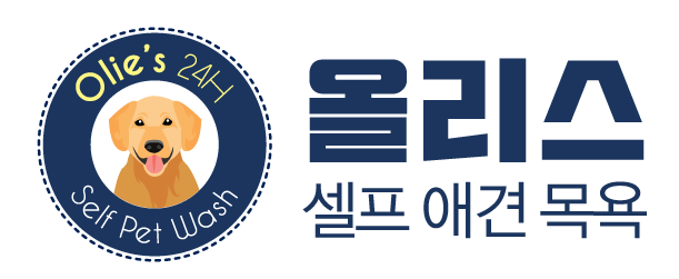 Olies 올리스24