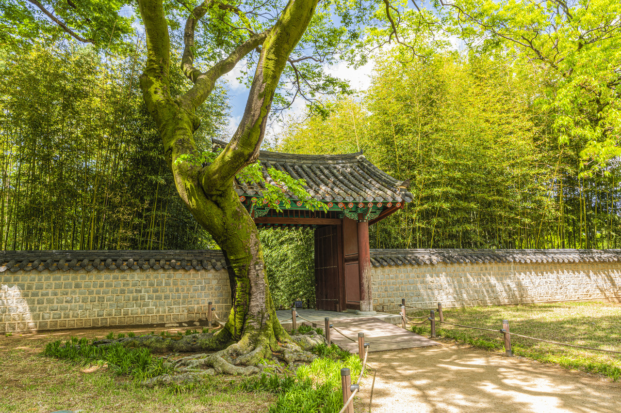 자세히 보기