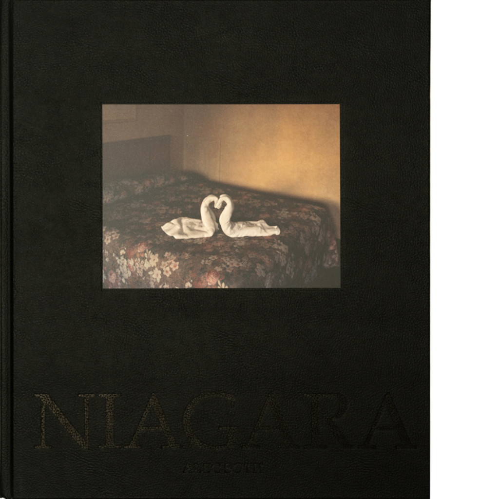 人気ブランド多数対象 額装済 オリジナルプリント Alec Soth NIAGARA