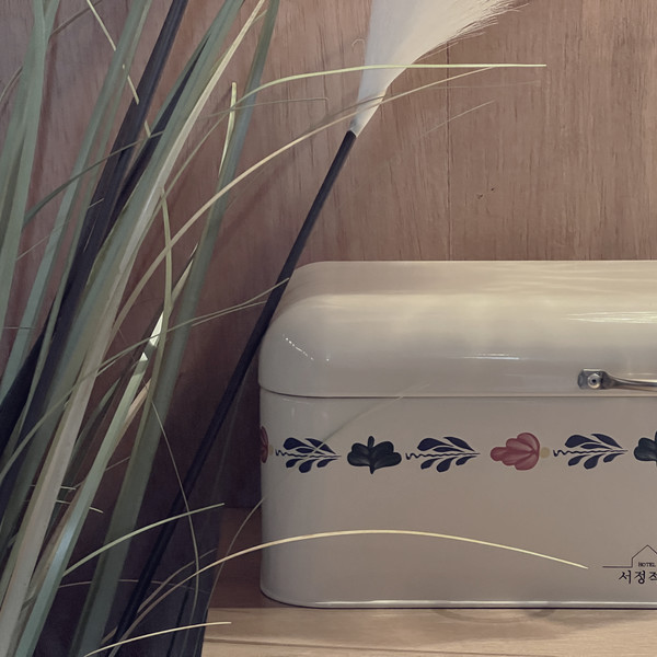 예약 상품 이미지