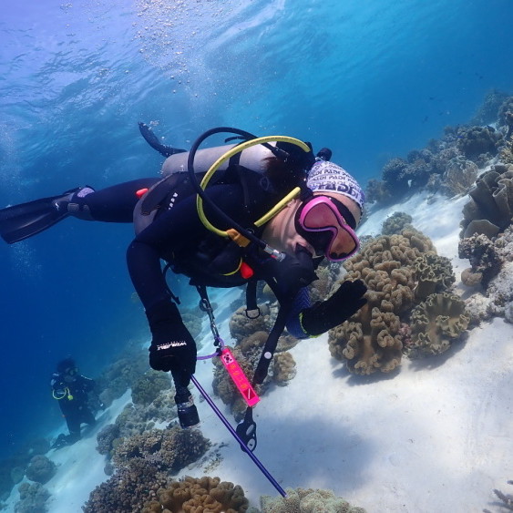 [제주 서귀포] 마코다이브 스쿠버다이빙
