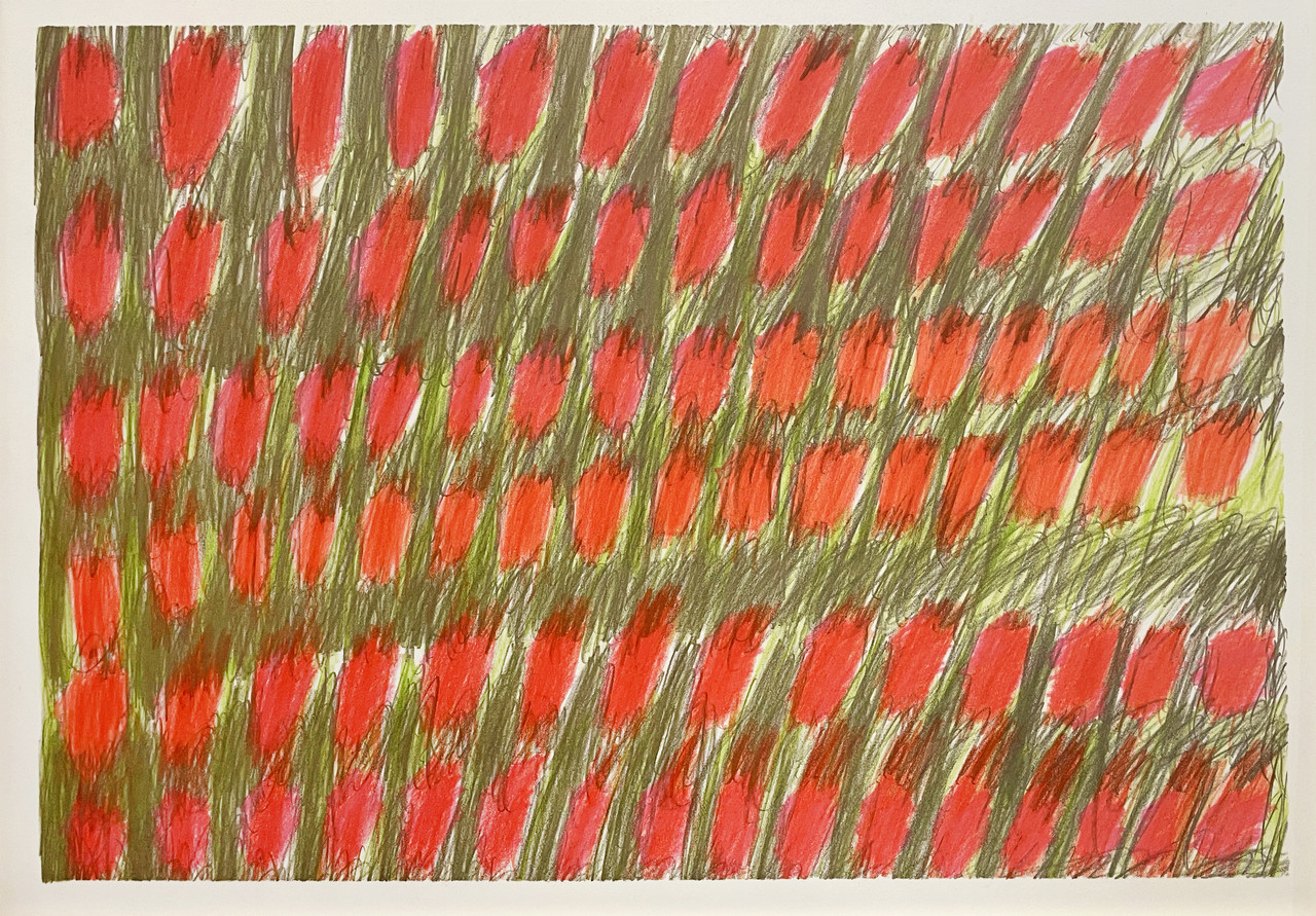 Untitled, 1988, Colored pencil and graphite on paper, 38.7 x 47 cm, BS 006