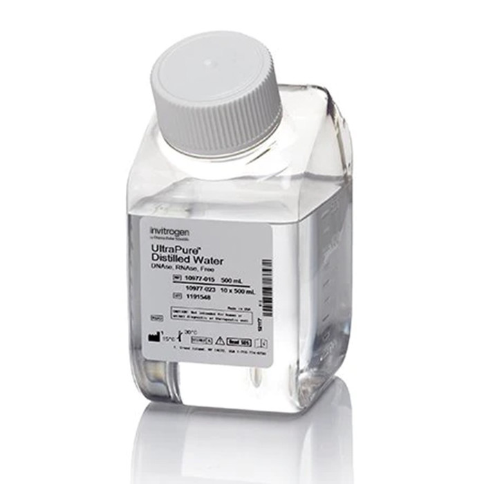 ♡ㅏ Invitrogen™ UltraPure™ DNase/RNase-Free Distilled Water-10977015