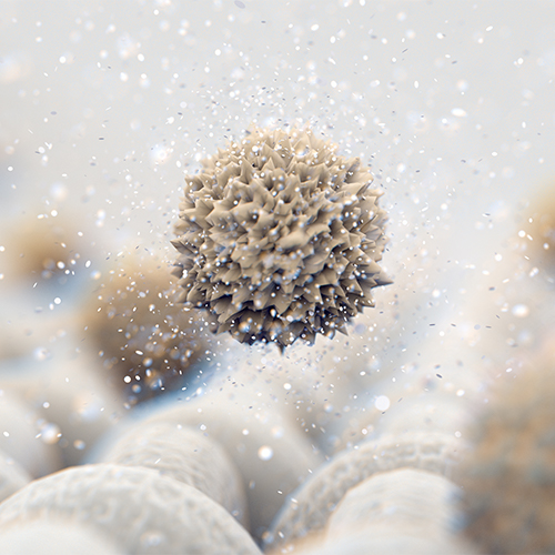 antibacterial activity