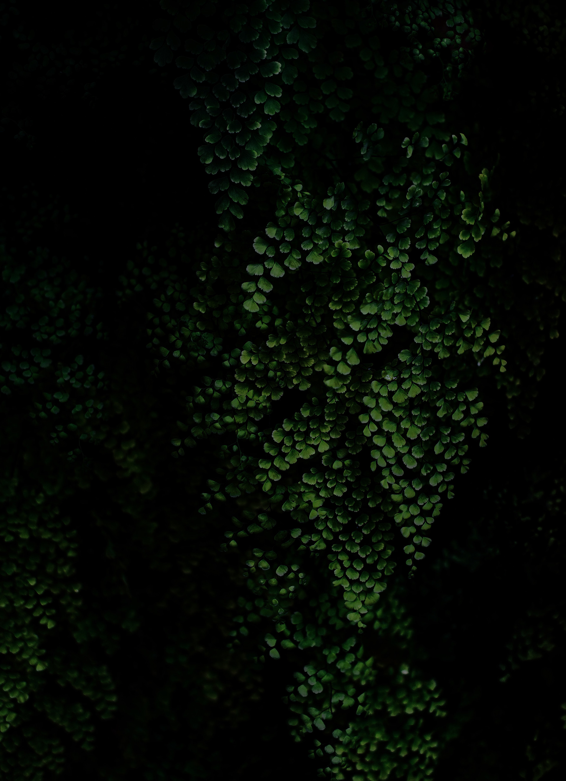 mobile background