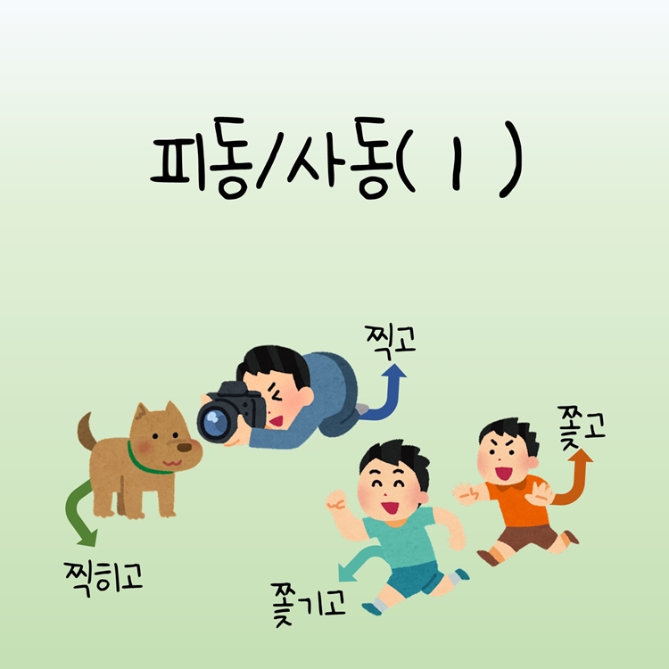 피동/사동 (1탄) [다원쌤] : 언어더하기