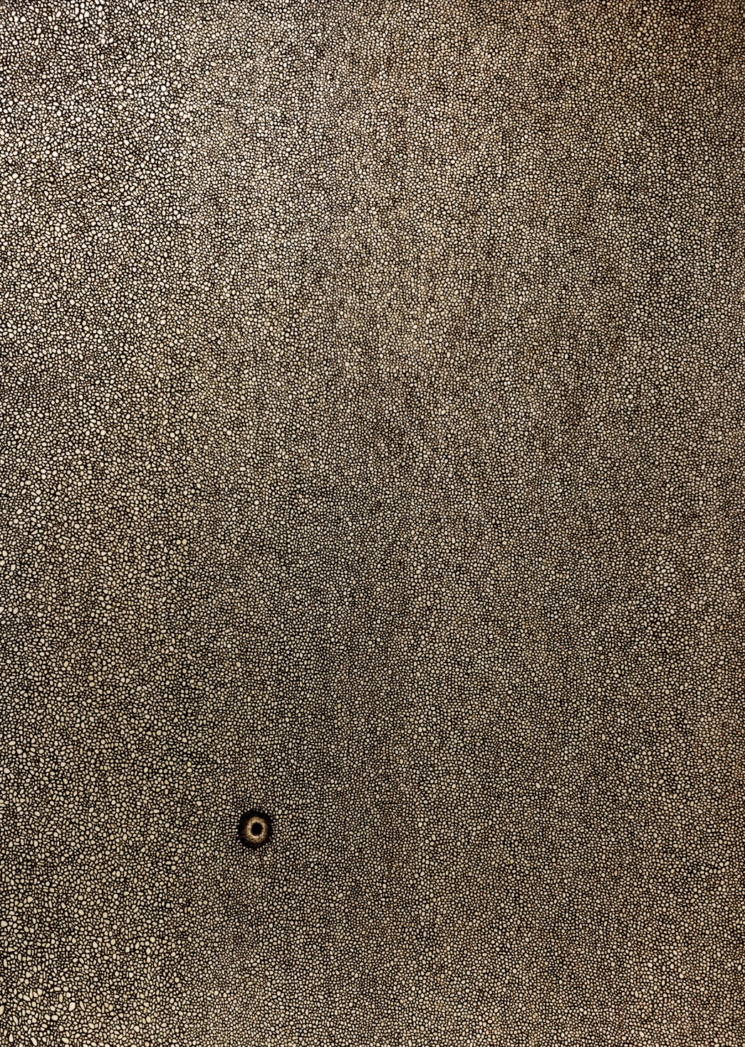 RE:BORN 22130, Pyrography on birch 65.1x90.9x2.4cm