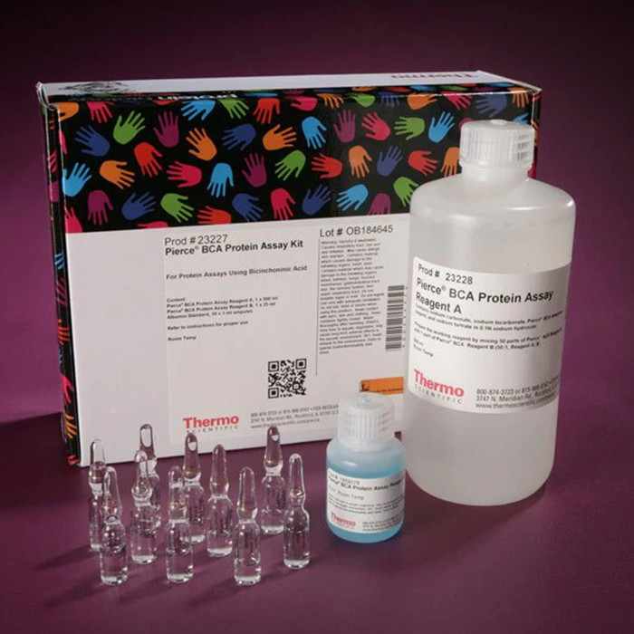 Thermo Scientific™ Pierce™ BCA Protein Assay Kit-23227