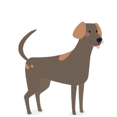 <span class="h_font_st" style="font-size:28px; color:#fdb813;">입양상담</span> <br> <span>방문을 통해 입양상담을 받아보세요</span>